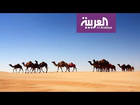 مصور يحكي من خلال عدسته قصصا عن الإمارات