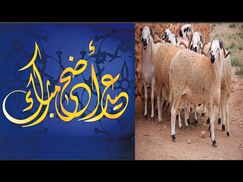 شاهد الأربعاء أول أيام ذي الحجة