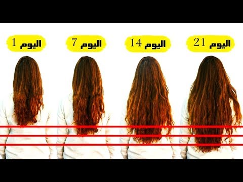 بالفيديو 7 أكلات تساعد على نمو الشعر