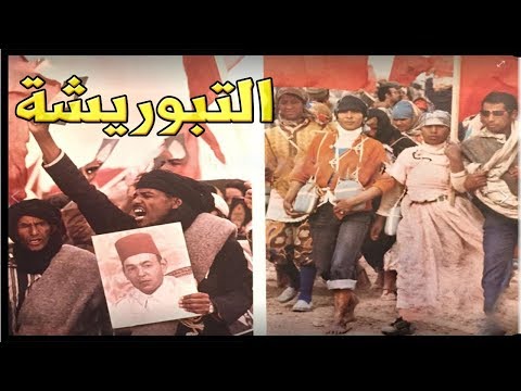 شاهد مصور الملوك الثلاثة ينشر صورًا نادرة بمناسبة الاحتفال بالمسيرة الخضراء