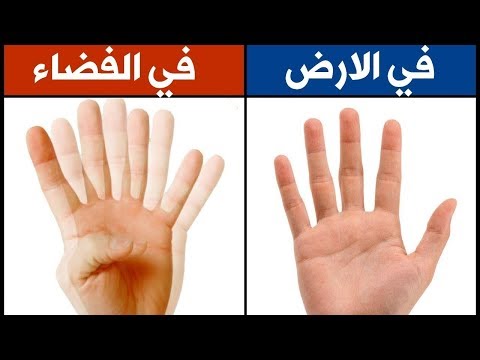 أشياء ستُصدم منها خلال رحلتك إلى الفضاء