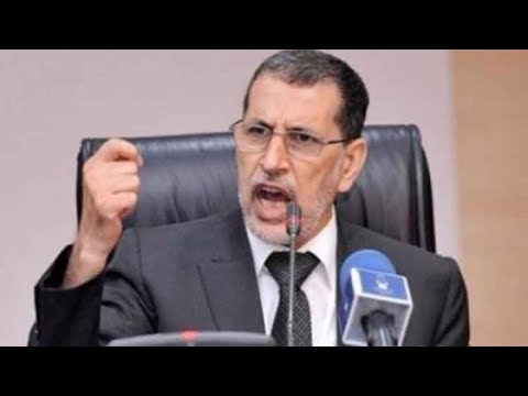 شاهدالعثماني يؤكّد وعي الحكومة بتداعيات تحرير أسعار المحروقات