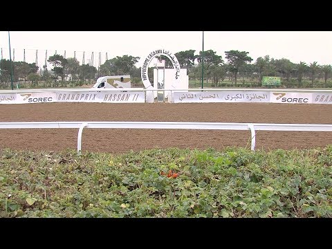 شاهد الفرس الزبير يفوز بجائزة الحسن الثاني لسباق الخيل بالدار البيضاء