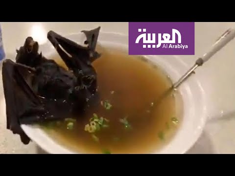 المطاعم في أندونيسيا تتحدى كورونا وتقدم أطباق من الخفافيش