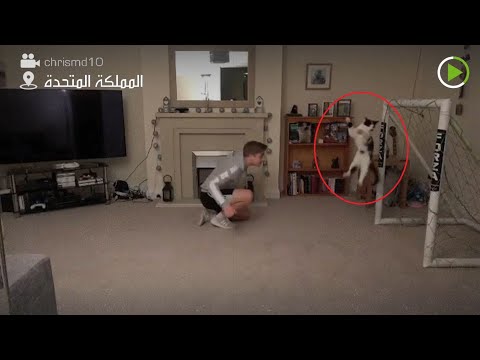 شاهد لقطات مُثيرة لـقطة تتقمص دور حارس مرمى