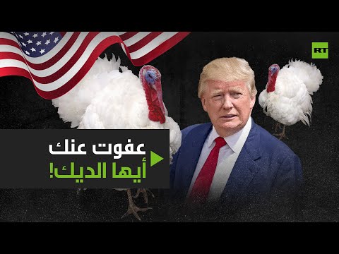 شاهد ترامب يُنقذ ديكان روميان من الذبح ويمنحهما عفوًا رئاسيًا