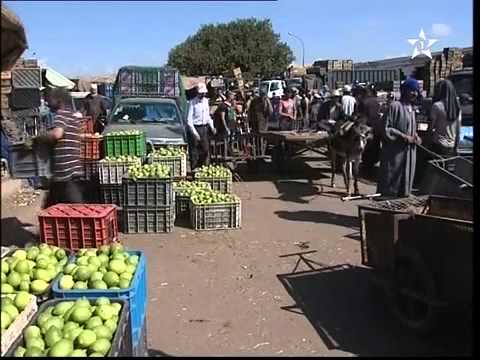 قانون العرض والطلب يتحكم  في سوق  إنزكان