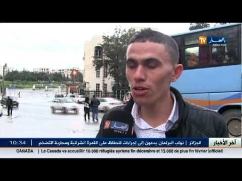 تعرف على رأي الشارع الجزائري في تجديد الثقة في مدرب الخضر